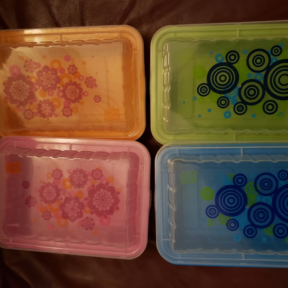 New, decorative lunch storage containers